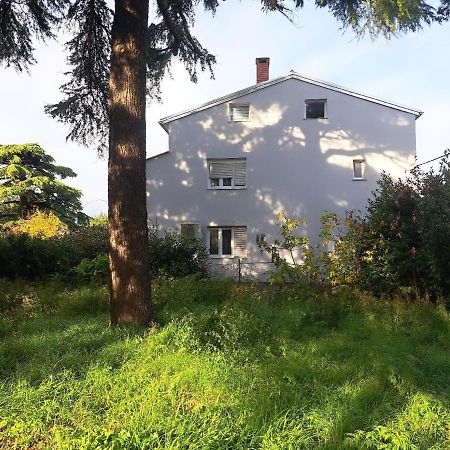 Apartment Luana Pula Zewnętrze zdjęcie