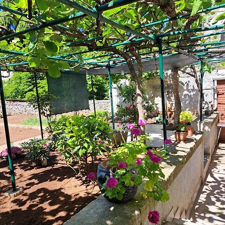 Apartment Luana Pula Zewnętrze zdjęcie